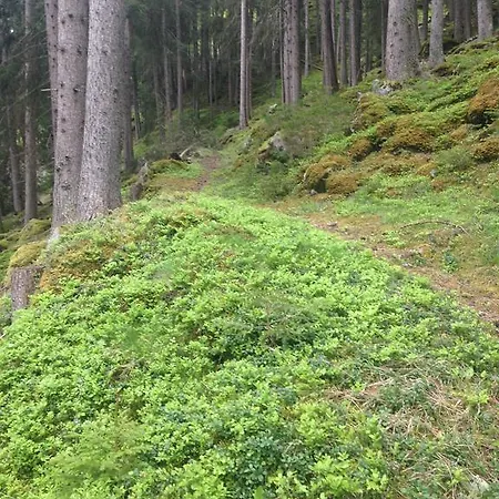 Apart Christa Kaunertal Extérieur photo